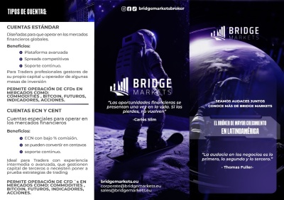 /src/BM-ESPANOL/triptico bridge_RGB.pdf